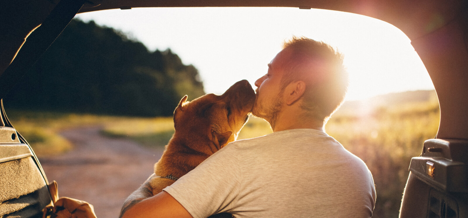 Man and dog in the back of a car